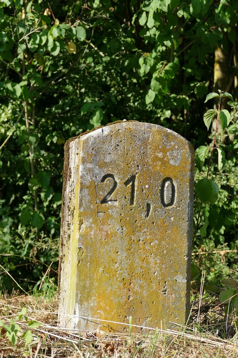 Success Milestones